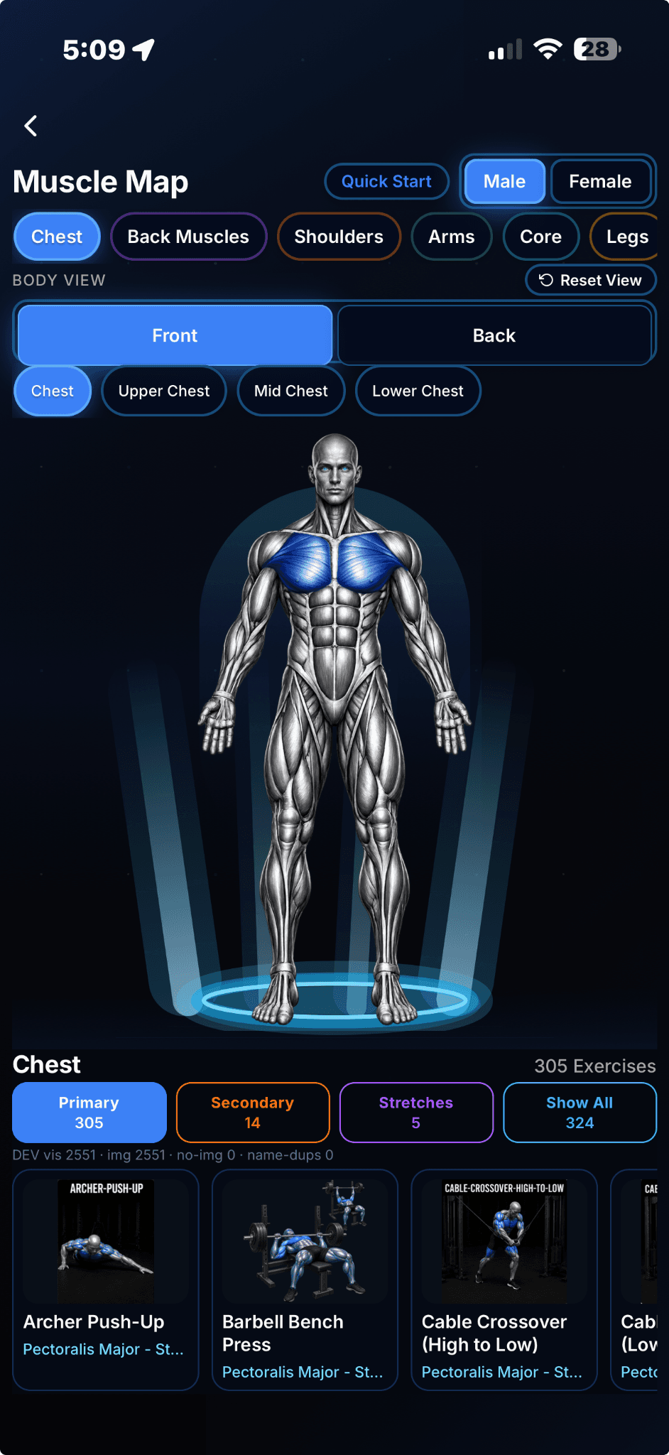 Muscle Map